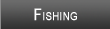 Lake Winnipesaukee Fishing